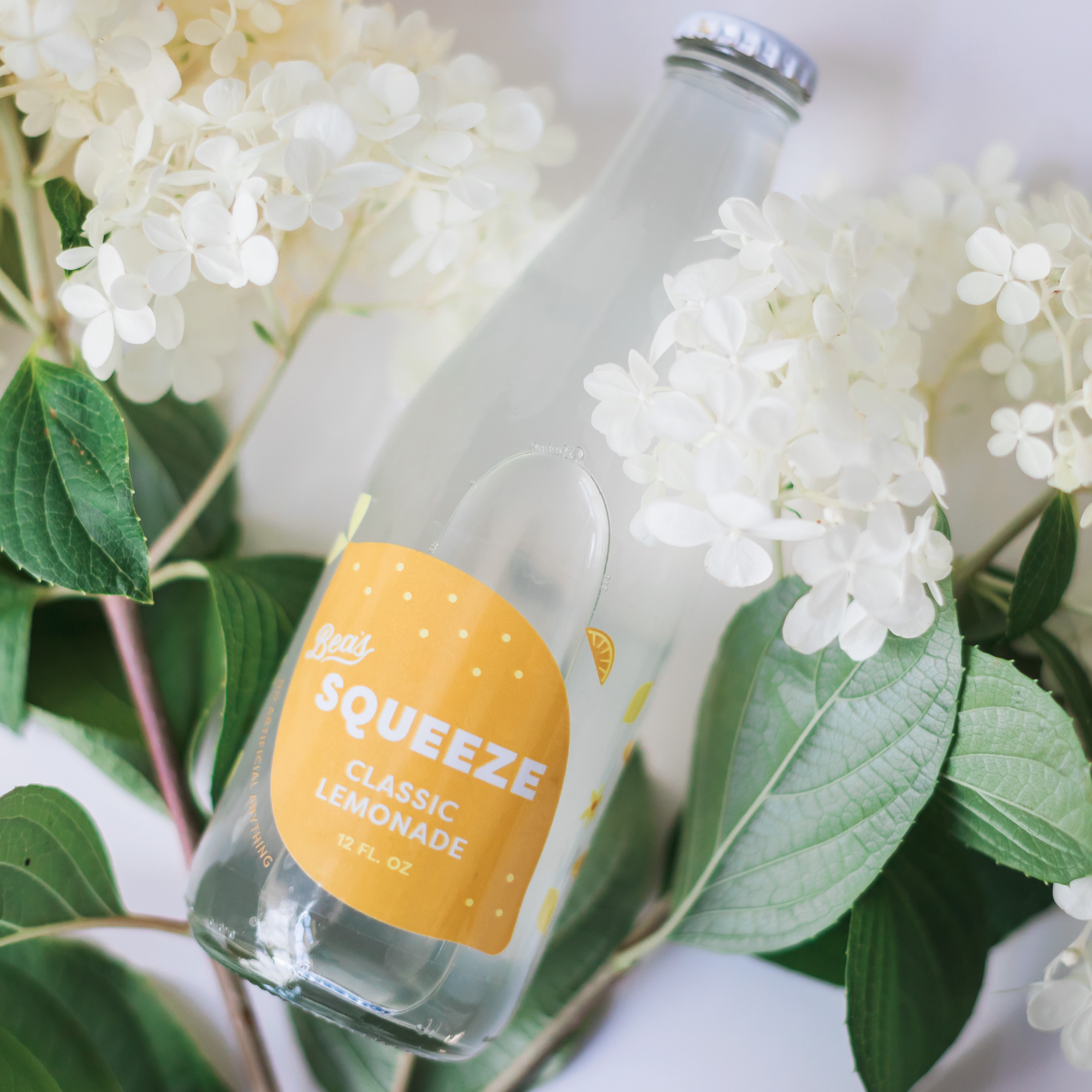 Classic Lemonade 9-Pack