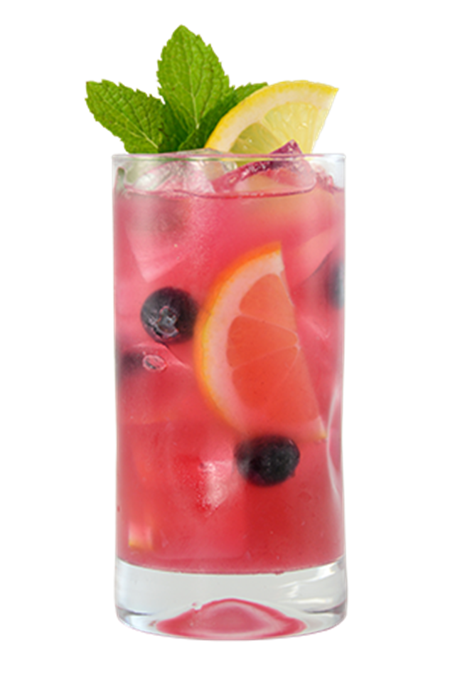 blueberry hibiscus lemonade